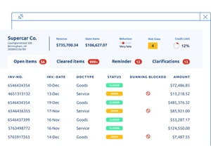 Bilendo transparency