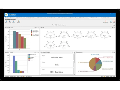 Multiview erp sales