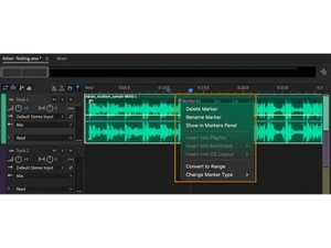 adobe audition editor