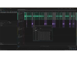 adobe audition recorded