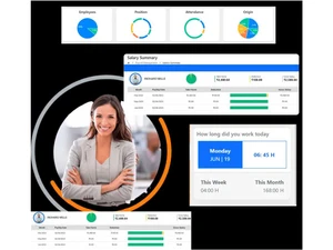 wiseofficeday salary