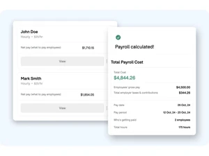 BlinkPayroll accurate