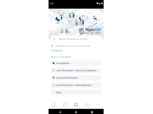 report it-categories