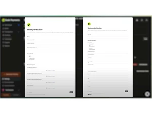 Dodo Payments identity