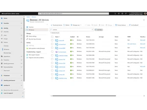 Microsoft-Entra-ID identity