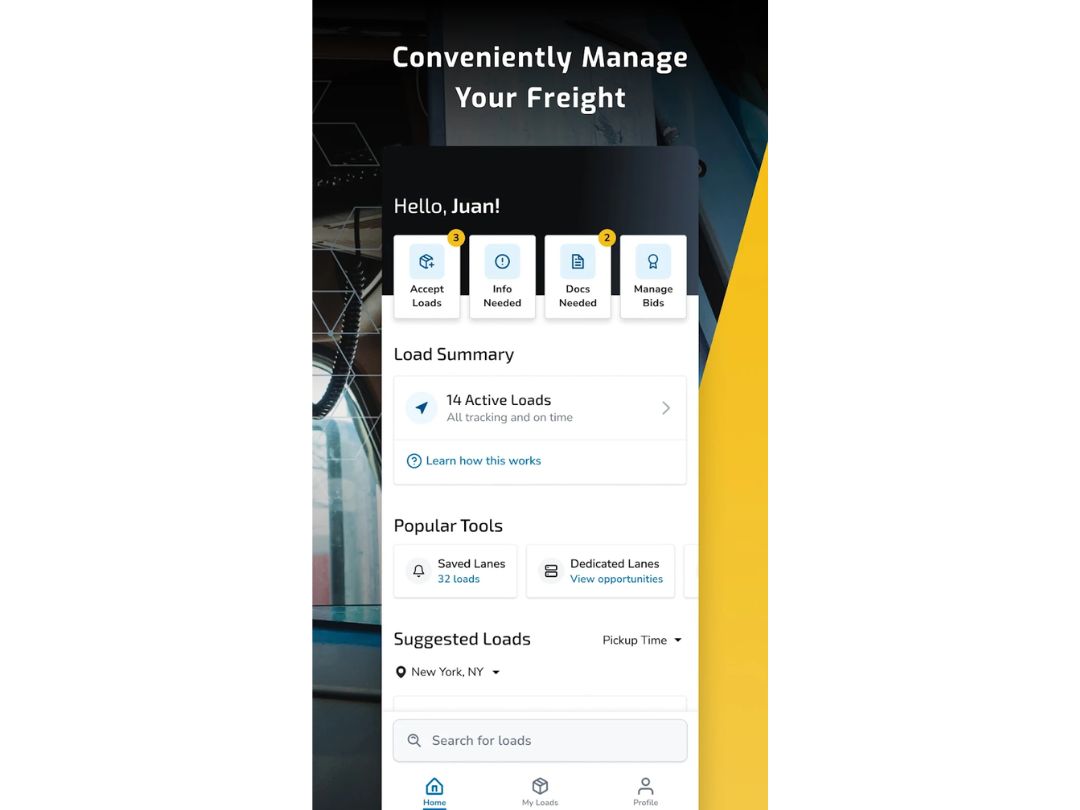 Transfix summary