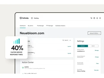 GoDaddy Windows Server-Dashboard Hosting