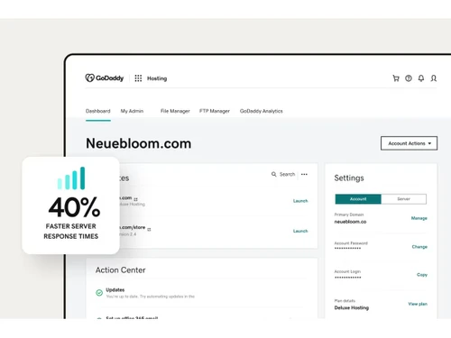GoDaddy Windows Server-Dashboard Hosting