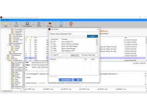 regain-ost-to-pst-converter-data