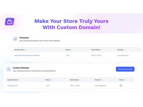 LaunchMyStore domain