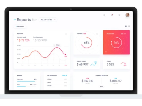 Bachat Gat Software-Reports