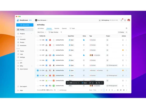 RoxyBrowser profiles