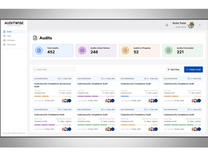 AuditWise audits