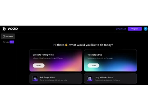 Vozo AI dashboard