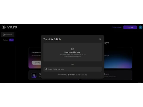 Vozo AI translate and dub