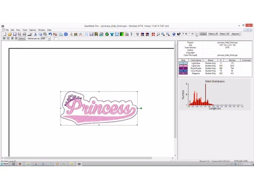 SewWhat Pro stitch custom border