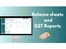stock and accounts book gst