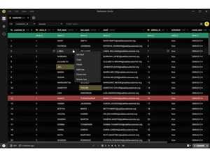 beekeeper studio-databases