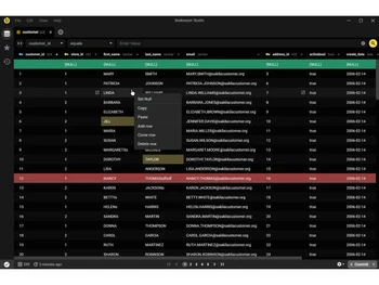 beekeeper studio-databases