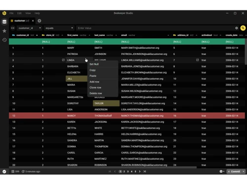 beekeeper studio-databases