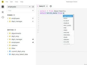 beekeeper studio-queries