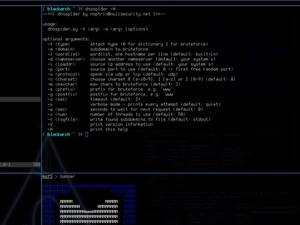 blackarch linux-arguments