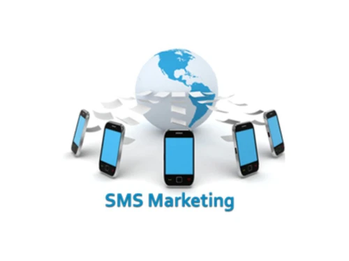 skyzone bulk sms marketing
