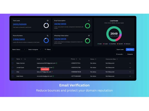 SkyFunnel email-verification