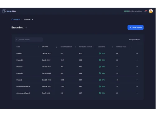 snapseo-dashboard