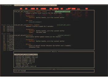 neovim Custom