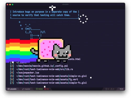 neovim Nyancat