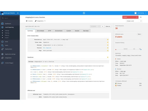 Raygun-error summary