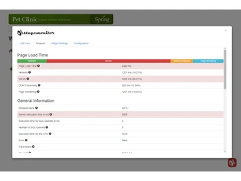StageMonitor-request trace
