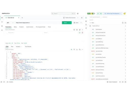 Hoppscotch-parameters