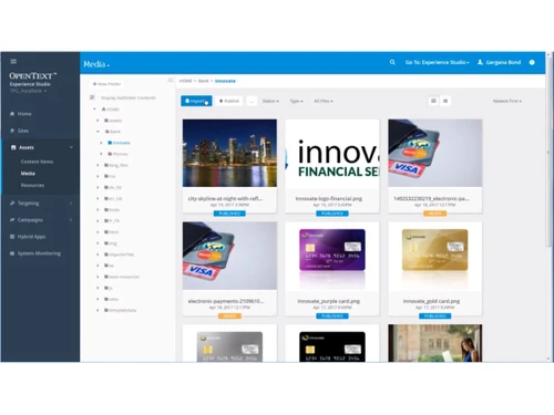 OpenText Web CMS-media