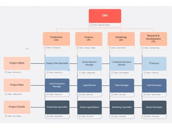 MindManager Professional-matrix