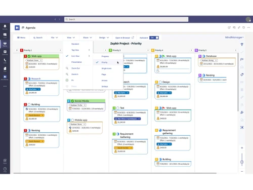 MindManager Enterprise-icon view