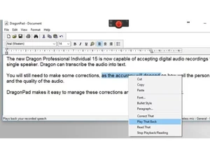 Dragon-Professional-Individual-playback