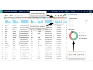 Zoho DataPrep-histogram