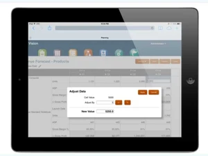 Oracle-Hyperion-data