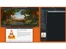 vlc media player-interface