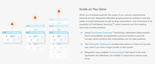 netsparker scale as you grow