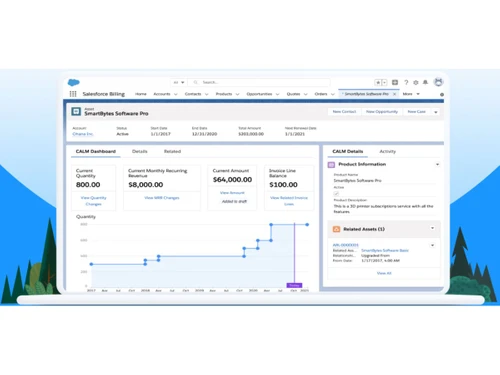 Salesforce Revenue Cloud-dashboard