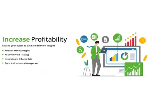 Seller Labs-profitability