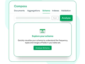mongodb compass-schema