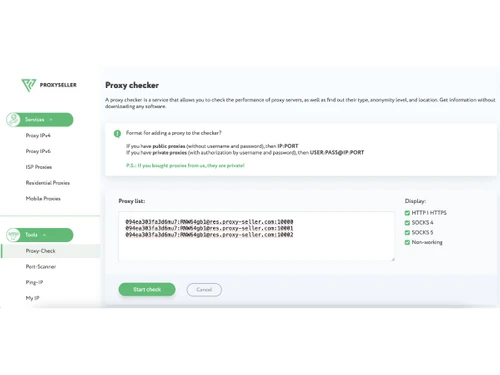 Proxy Seller-proxy checker