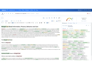 NeuronWriter-optimize content