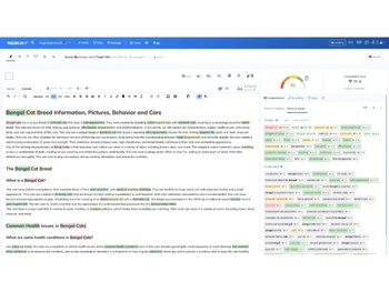 NeuronWriter-optimize content