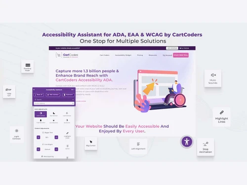 Accessibility Assistant Features