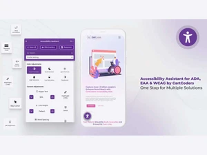 Accessibility Assistant User